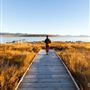 Mono Lake Tufa State Natural Reserve (SNR) / South Tufa Lake - Inyo National Forest (NF)