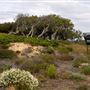 Fort Ord National Monument
