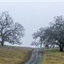 Fremont Peak State Park (SP)