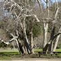 Lake Del Valle State Recreation Area (SRA) - East Bay Regional Park District