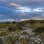 Ocotillo Wells State Vehicular Recreation Area (SVRA)