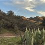 Agua Dulce Horse Ranch