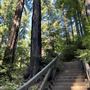 Pfeiffer Big Sur State Park (SP)