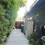 Mid-Century Single Story Home