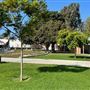Orange Coast College - OCC