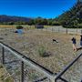 Casini Ranch Family Campground