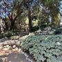 Storrier Stearns Japanese Garden
