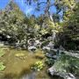Storrier Stearns Japanese Garden