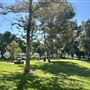 Anderson Park - City of Carson