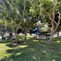 Anderson Park - City of Carson