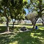 Anderson Park - City of Carson