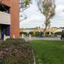 California State University, Long Beach - CSULB
