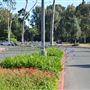 California State University, Long Beach - CSULB