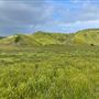 Bracaccini Ranch Property - 50 acres open field / Ranch House / Barns