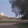 Bracaccini Ranch Property - 50 acres open field / Ranch House / Barns