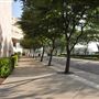 California State Polytechnic University, Pomona - Cal Poly Pomona