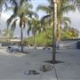 Citrus Community College