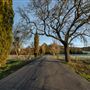 Sonoma State Historic Park (SHP) / General Vallejo’s Home / The Barracks / Mission San Francisco Solano