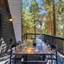 Twin Peaks Mountain Cabin