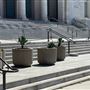 Los Angeles City Hall