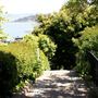 Filbert Steps