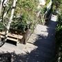 Filbert Steps