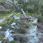 Cattle Canyon Bridge - Angeles National Forest