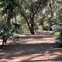 Descanso Gardens