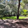 Descanso Gardens