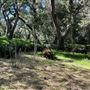 Descanso Gardens