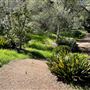 Descanso Gardens