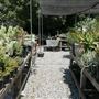 Descanso Gardens