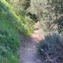 Descanso Gardens