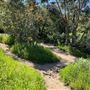 Descanso Gardens