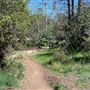 Descanso Gardens