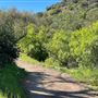 Descanso Gardens