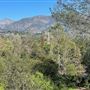 Descanso Gardens