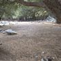 Crystal Lake Recreation Area / Campground - Angeles National Forest