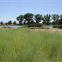 Mojave Narrows Regional Park