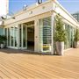 Savanna Rooftop