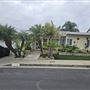 Don Luis Dr. Home