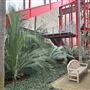 Los Angeles County Museum of Art (LACMA)