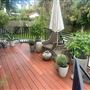 Tarzana Home Reimagined