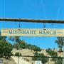 Mosshart Rance