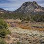 Chimney Peak @ Chimney Peak Wilderness