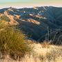 Panoche Hills - BLM