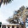 Louisiana French Colonial House