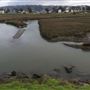 Albany State Marine Reserve - State Lands Commission (SLC)