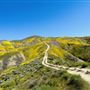 Carrizo Plain National Monument