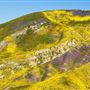 Carrizo Plain National Monument